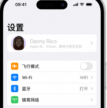 晋宁appleID维修服务iPhone设置中Apple ID显示为灰色无法使用 