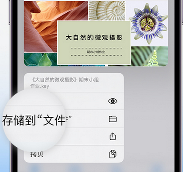 晋宁apple维修中心分享iPhone文件应用中存储和找到下载文件