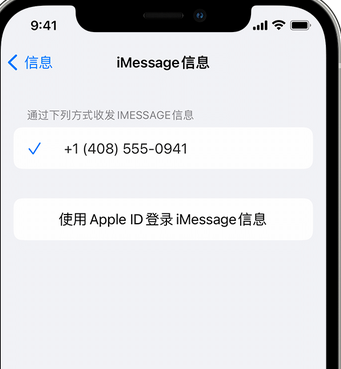 晋宁apple维修iPhone上无法正常发送iMessage信息 