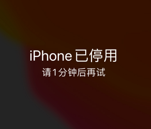 晋宁苹果手机维修分享:iPhone 显示“不可用”或“已停用”怎么办？还能保留数据吗？ 