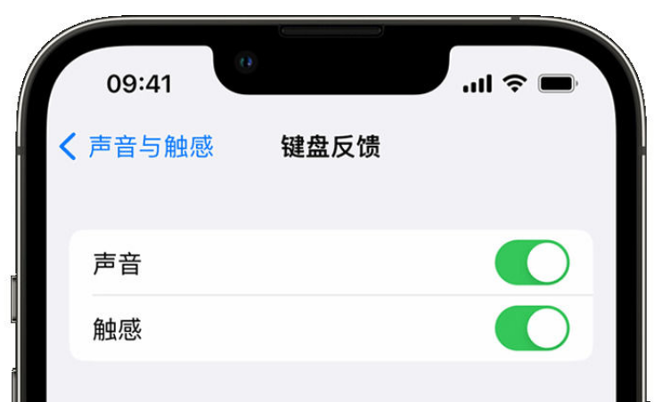 晋宁苹果手机维修分享iPhone 14触感键盘使用方法 