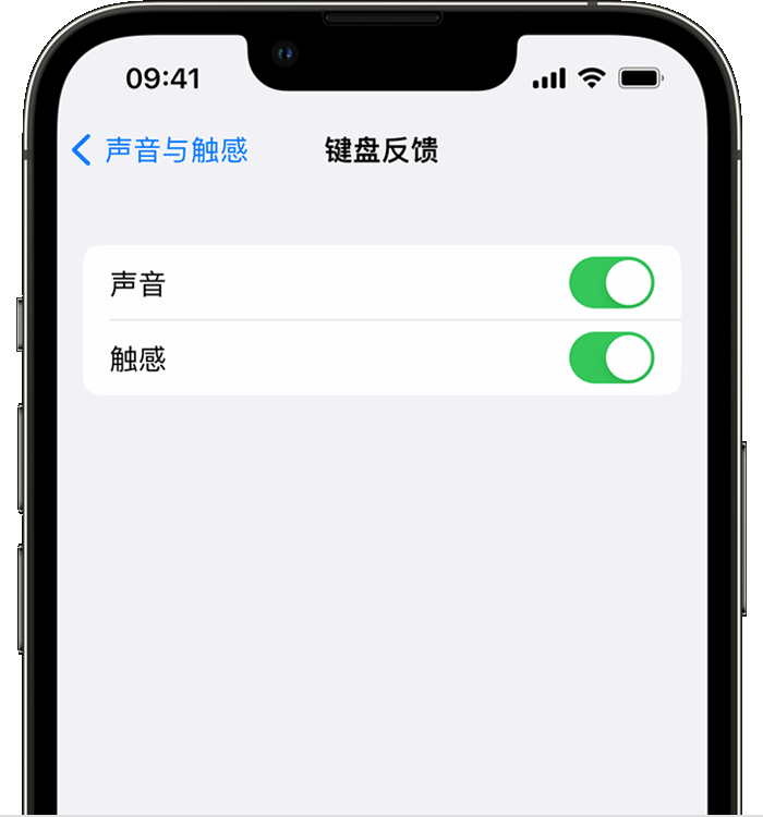 晋宁苹果14维修店分享如何在 iPhone 14 机型中使用触感键盘 