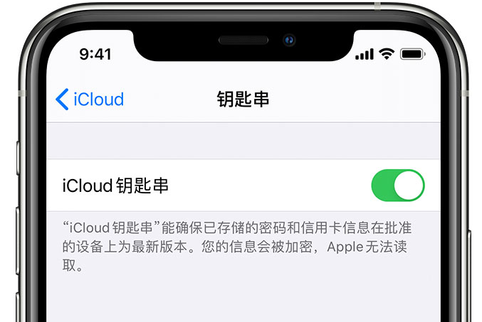 晋宁苹果手机维修分享在 iPhone 上开启 iCloud 钥匙串之后会储存哪些信息 