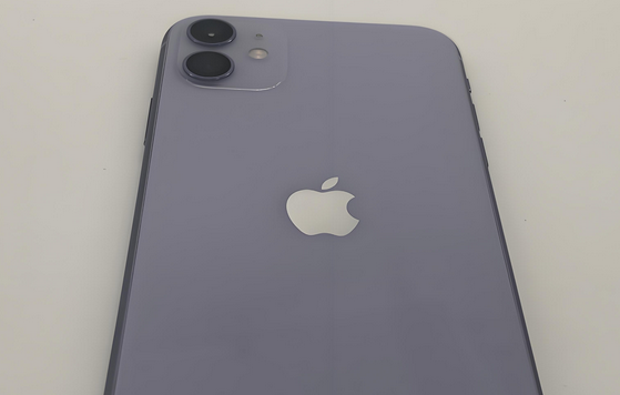 晋宁苹果11系统维修分享iPhone11手机系统崩溃无法开机如何解决